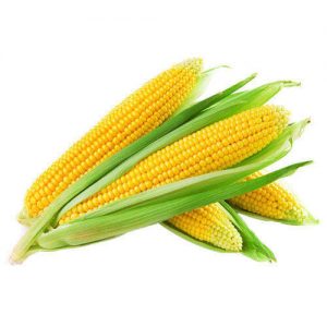 Corn